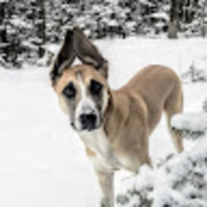 Meet your Posher, Fannie